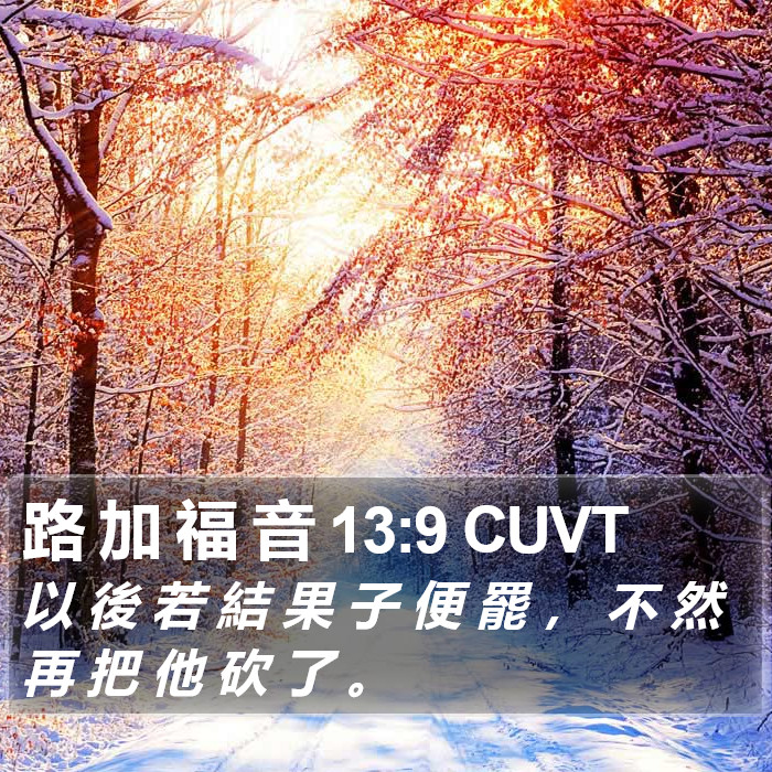 路 加 福 音 13:9 CUVT Bible Study