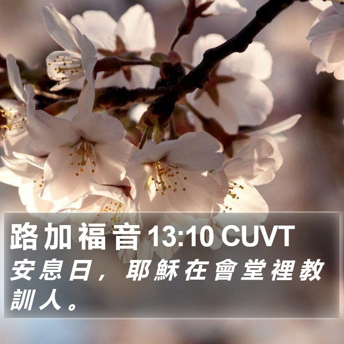 路 加 福 音 13:10 CUVT Bible Study