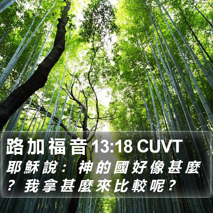 路 加 福 音 13:18 CUVT Bible Study