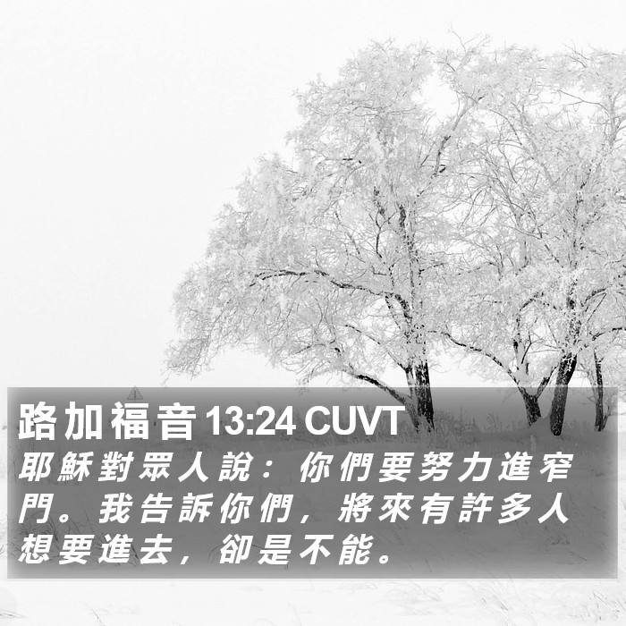 路 加 福 音 13:24 CUVT Bible Study