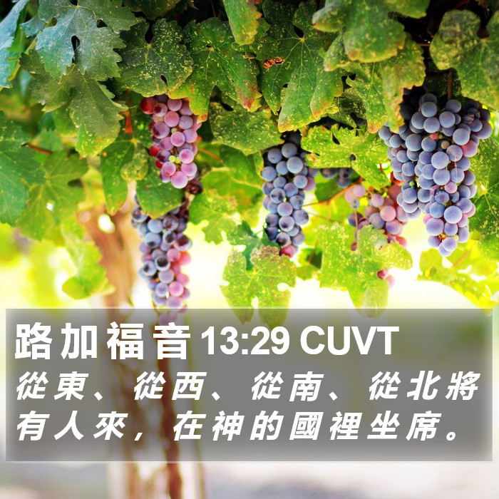 路 加 福 音 13:29 CUVT Bible Study