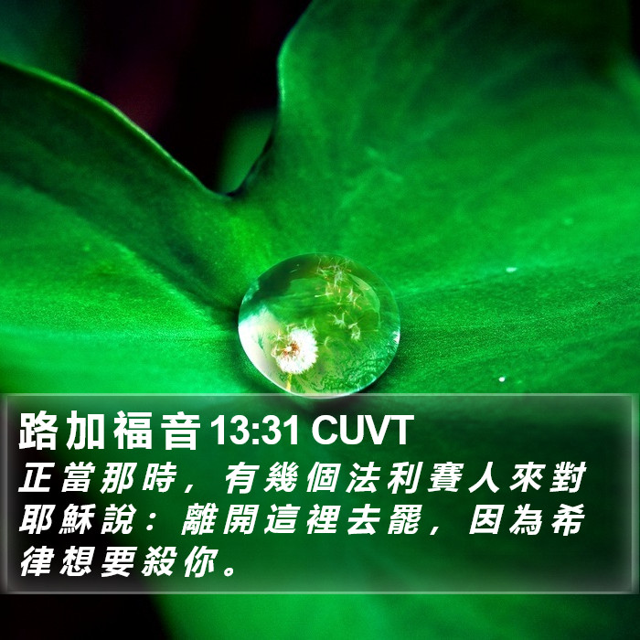 路 加 福 音 13:31 CUVT Bible Study