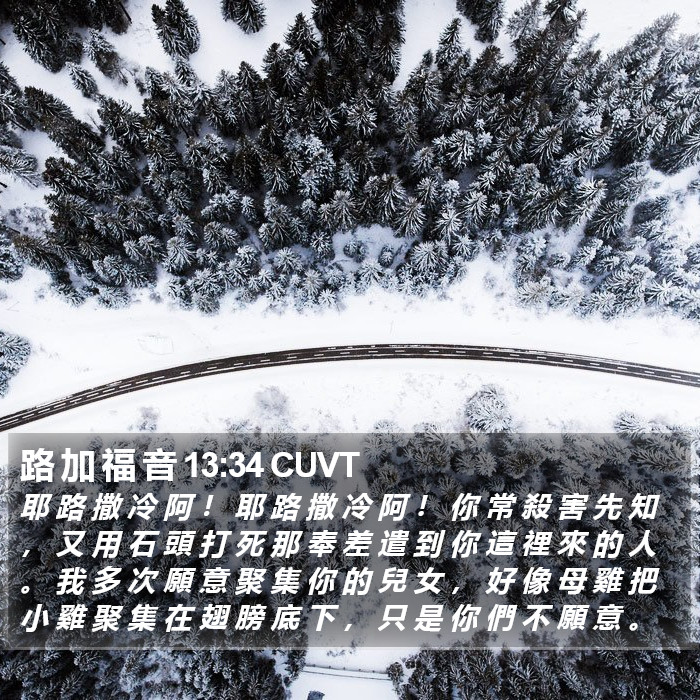 路 加 福 音 13:34 CUVT Bible Study