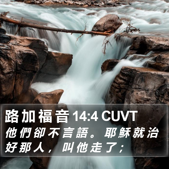 路 加 福 音 14:4 CUVT Bible Study