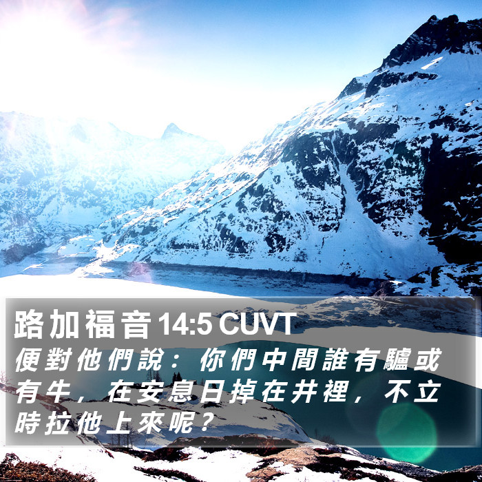 路 加 福 音 14:5 CUVT Bible Study