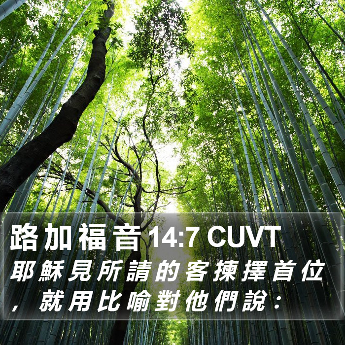 路 加 福 音 14:7 CUVT Bible Study
