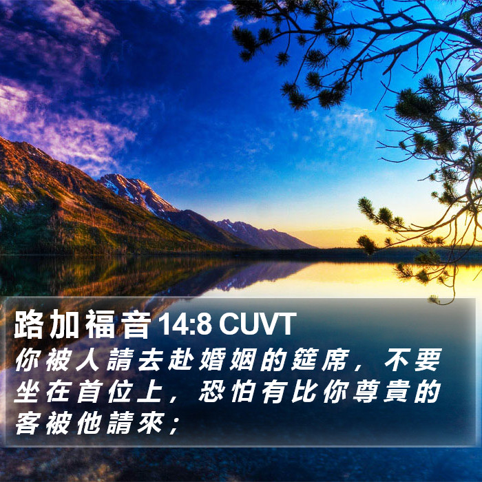 路 加 福 音 14:8 CUVT Bible Study