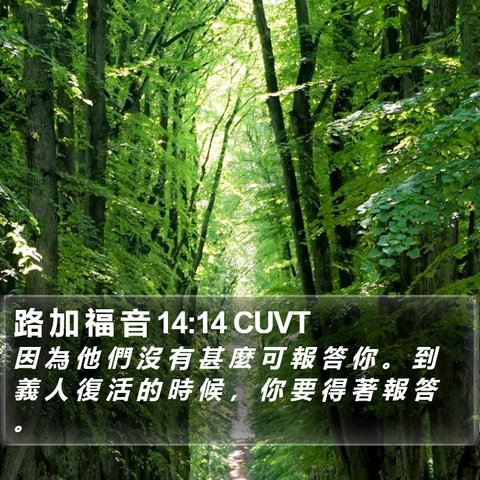 路 加 福 音 14:14 CUVT Bible Study