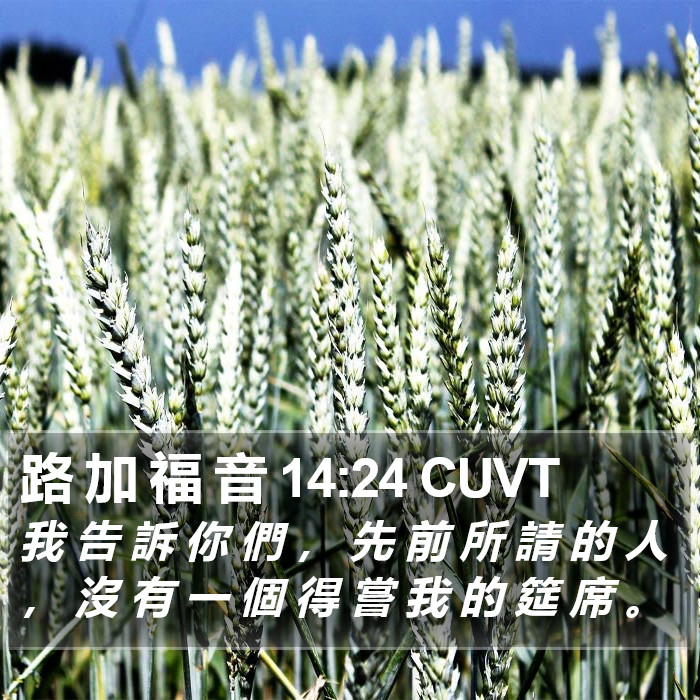 路 加 福 音 14:24 CUVT Bible Study