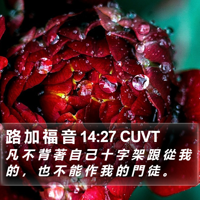 路 加 福 音 14:27 CUVT Bible Study