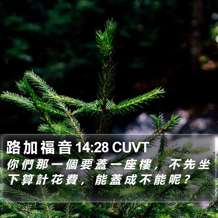 路 加 福 音 14:28 CUVT Bible Study