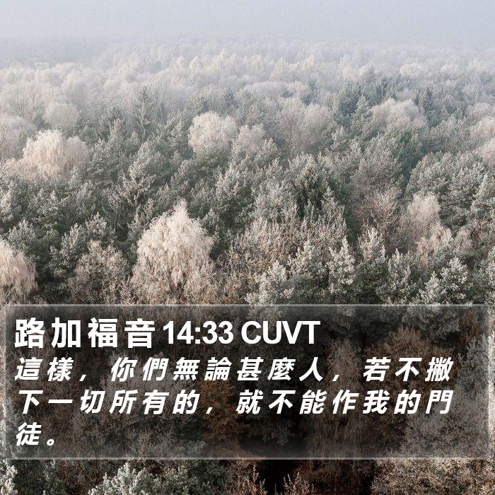 路 加 福 音 14:33 CUVT Bible Study