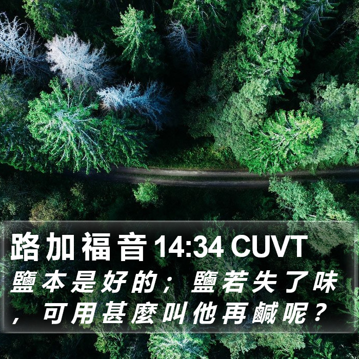 路 加 福 音 14:34 CUVT Bible Study