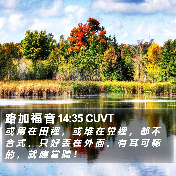 路 加 福 音 14:35 CUVT Bible Study