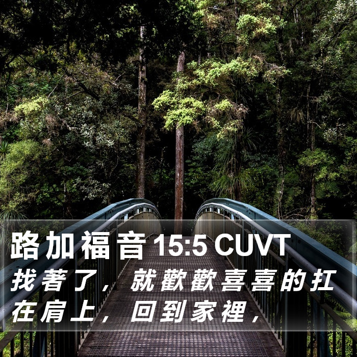 路 加 福 音 15:5 CUVT Bible Study