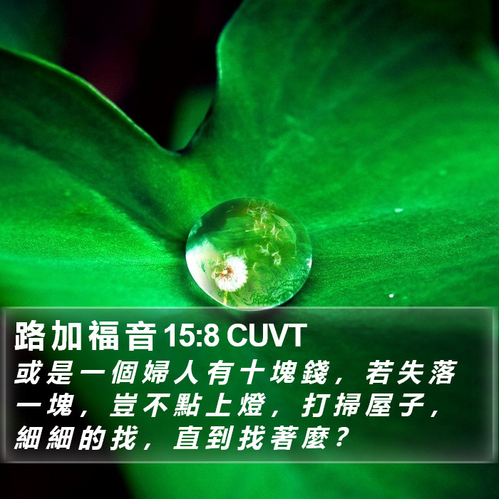 路 加 福 音 15:8 CUVT Bible Study