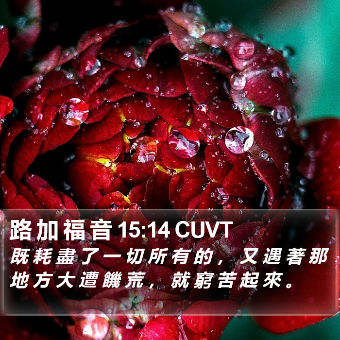 路 加 福 音 15:14 CUVT Bible Study