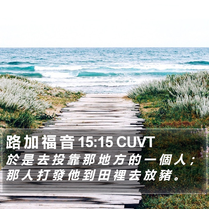 路 加 福 音 15:15 CUVT Bible Study