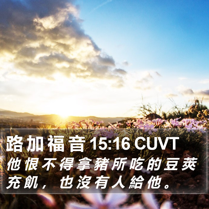 路 加 福 音 15:16 CUVT Bible Study