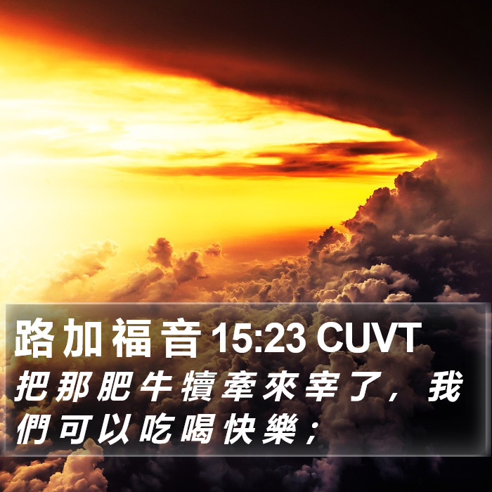 路 加 福 音 15:23 CUVT Bible Study