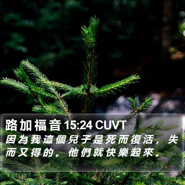 路 加 福 音 15:24 CUVT Bible Study