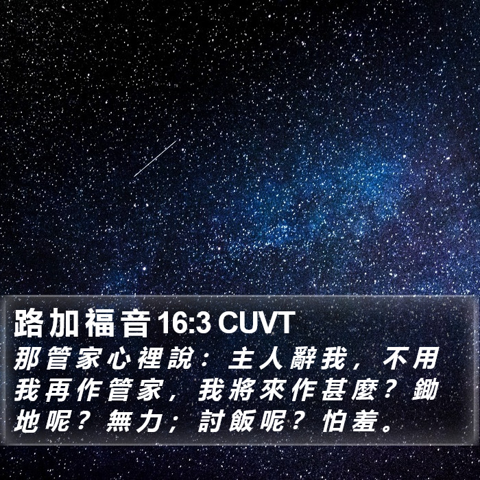 路 加 福 音 16:3 CUVT Bible Study