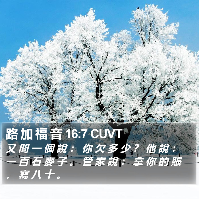 路 加 福 音 16:7 CUVT Bible Study