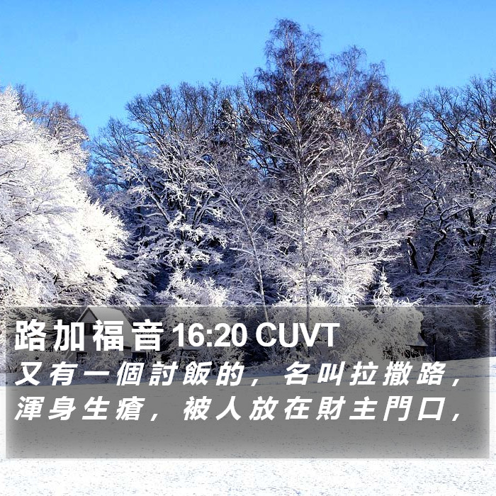 路 加 福 音 16:20 CUVT Bible Study