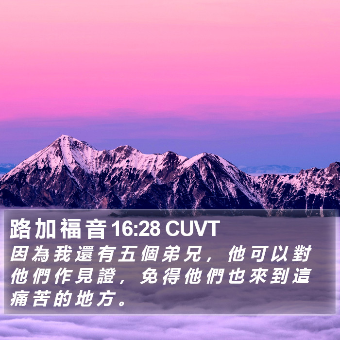 路 加 福 音 16:28 CUVT Bible Study