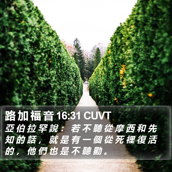 路 加 福 音 16:31 CUVT Bible Study