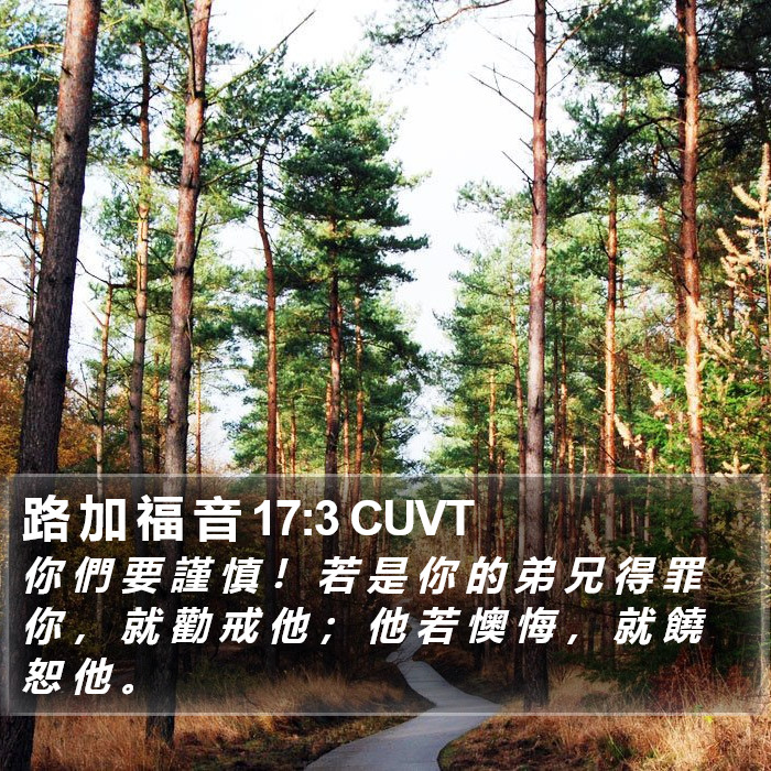 路 加 福 音 17:3 CUVT Bible Study