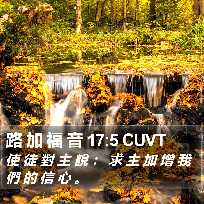 路 加 福 音 17:5 CUVT Bible Study