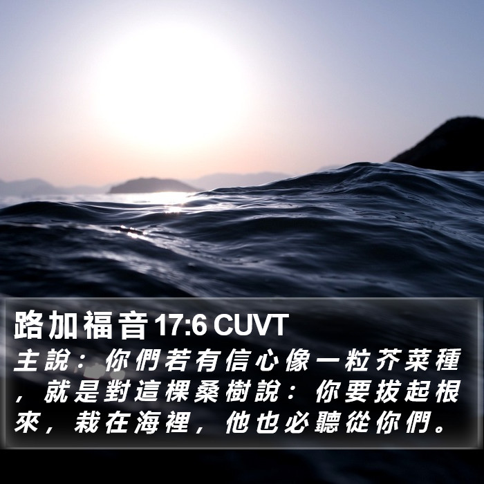 路 加 福 音 17:6 CUVT Bible Study
