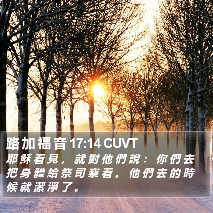 路 加 福 音 17:14 CUVT Bible Study