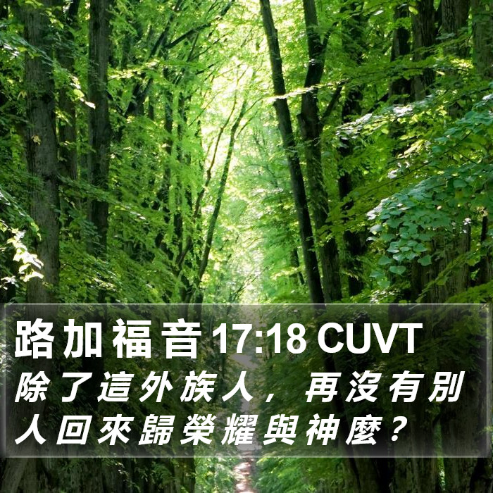 路 加 福 音 17:18 CUVT Bible Study