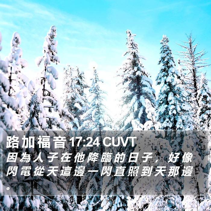 路 加 福 音 17:24 CUVT Bible Study