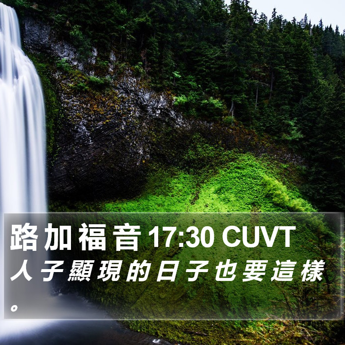 路 加 福 音 17:30 CUVT Bible Study
