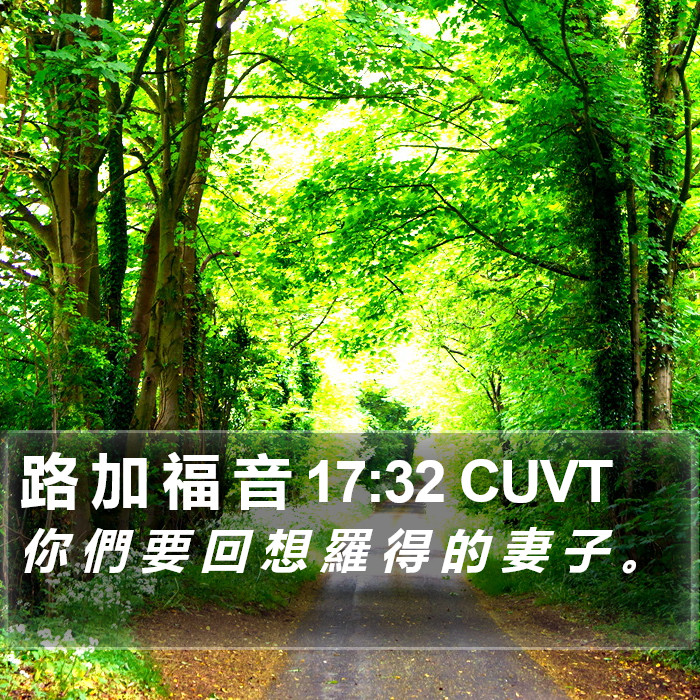 路 加 福 音 17:32 CUVT Bible Study