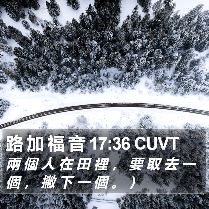 路 加 福 音 17:36 CUVT Bible Study