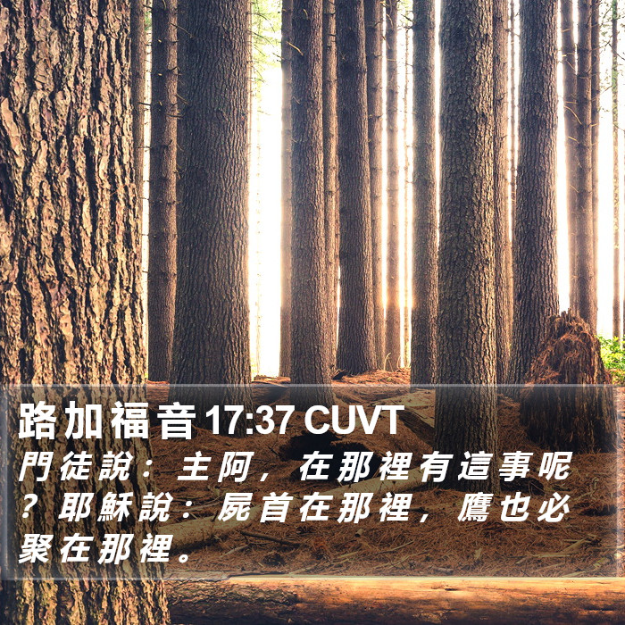 路 加 福 音 17:37 CUVT Bible Study