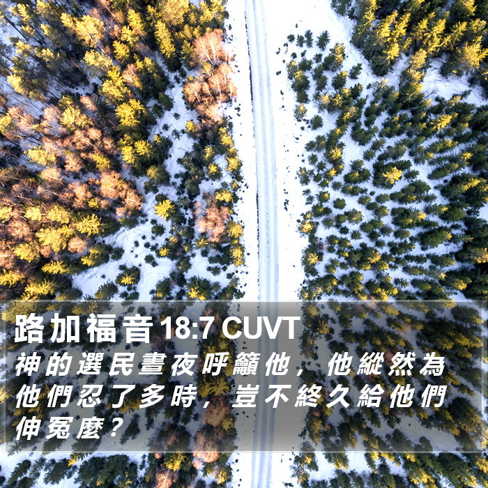 路 加 福 音 18:7 CUVT Bible Study