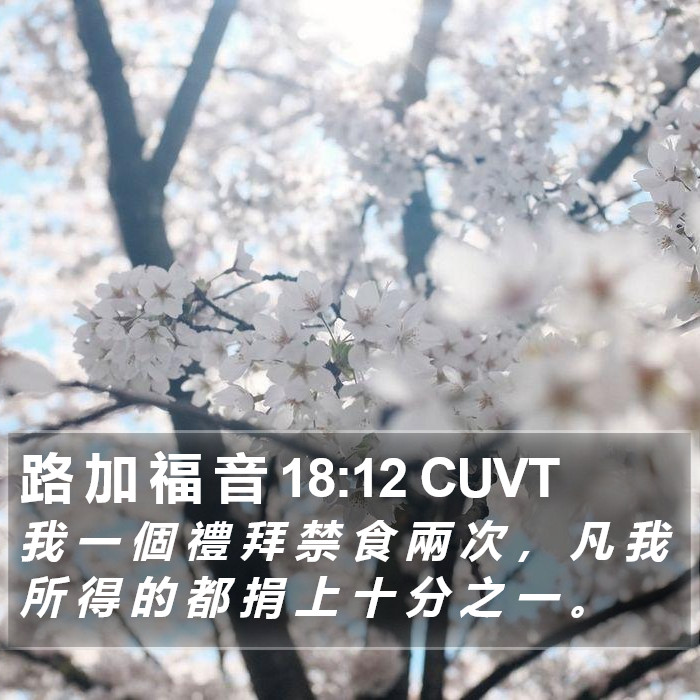 路 加 福 音 18:12 CUVT Bible Study
