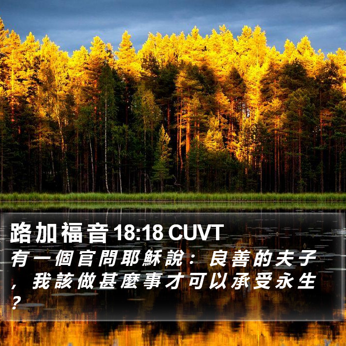 路 加 福 音 18:18 CUVT Bible Study