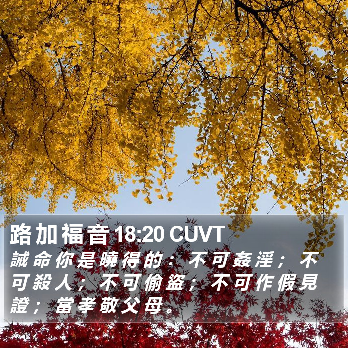 路 加 福 音 18:20 CUVT Bible Study