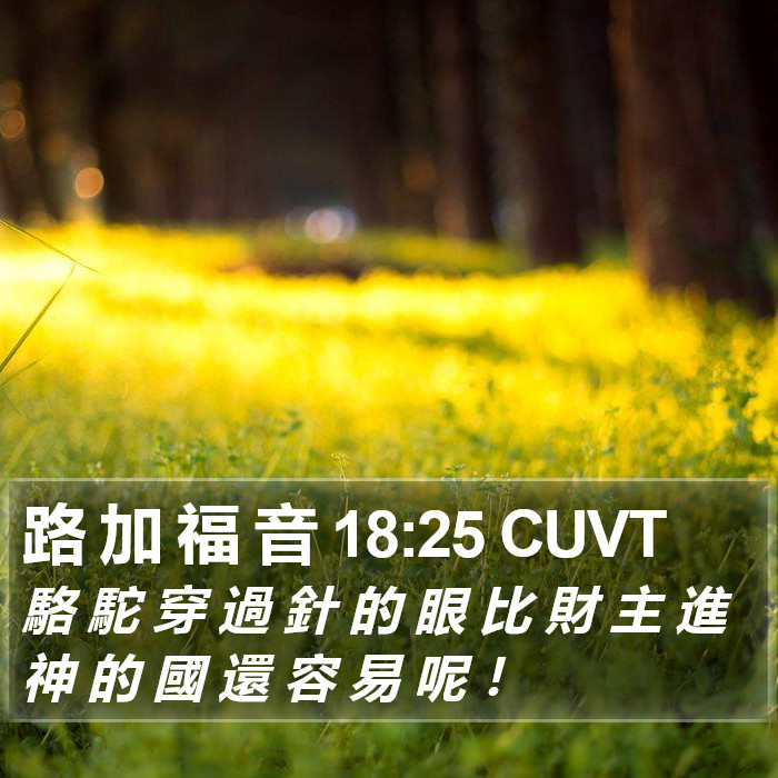 路 加 福 音 18:25 CUVT Bible Study