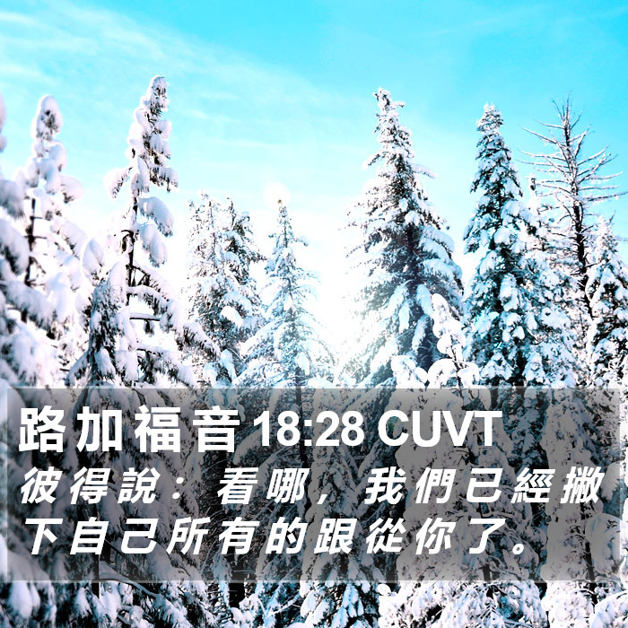 路 加 福 音 18:28 CUVT Bible Study