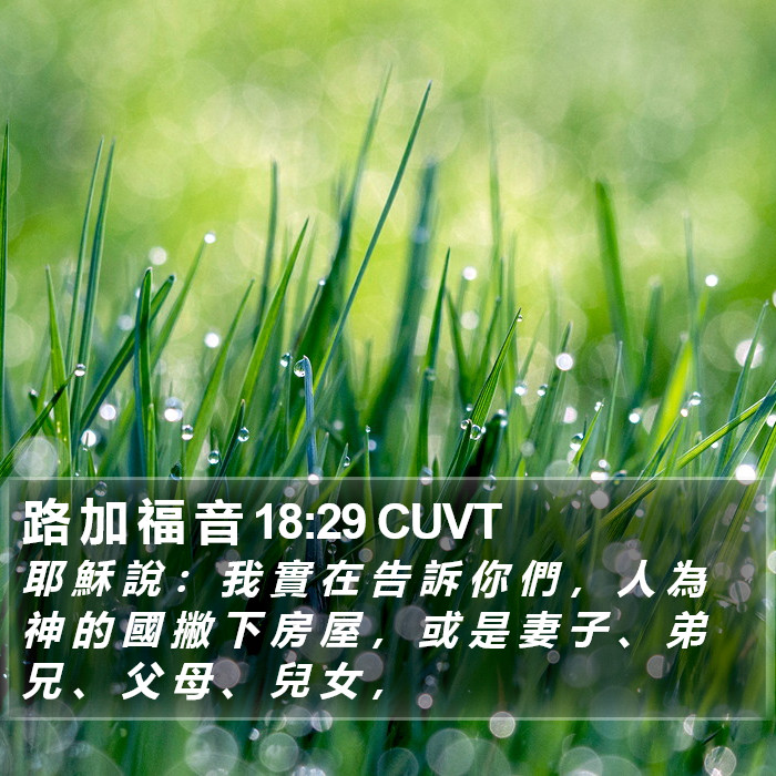 路 加 福 音 18:29 CUVT Bible Study