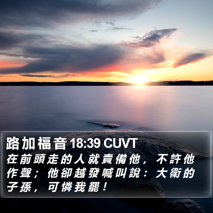 路 加 福 音 18:39 CUVT Bible Study