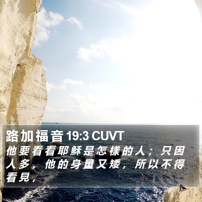 路 加 福 音 19:3 CUVT Bible Study