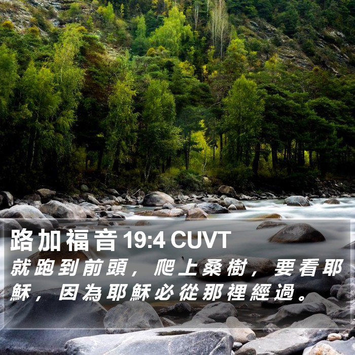 路 加 福 音 19:4 CUVT Bible Study